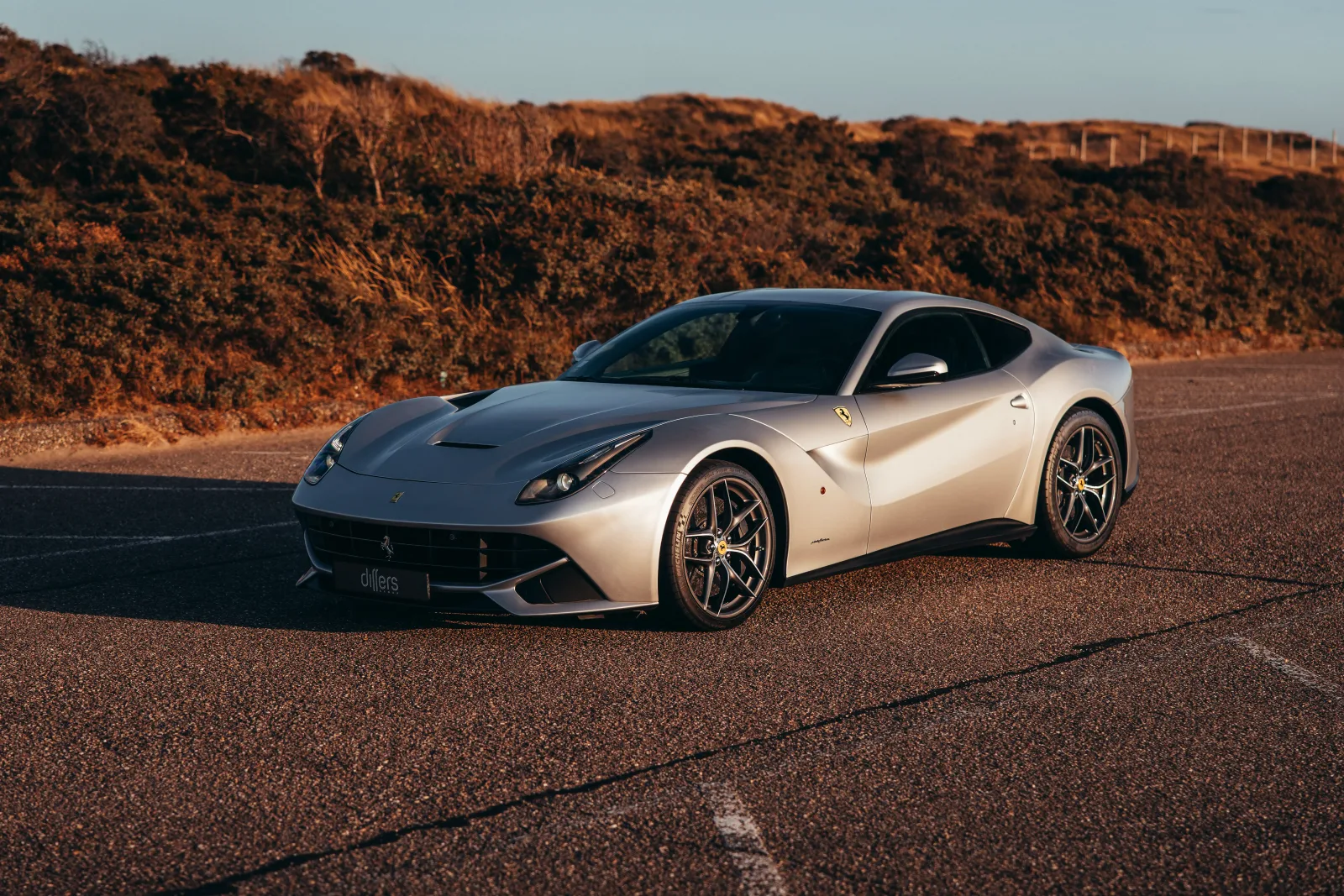 Ferrari F12berlinetta (2013) — foto 1