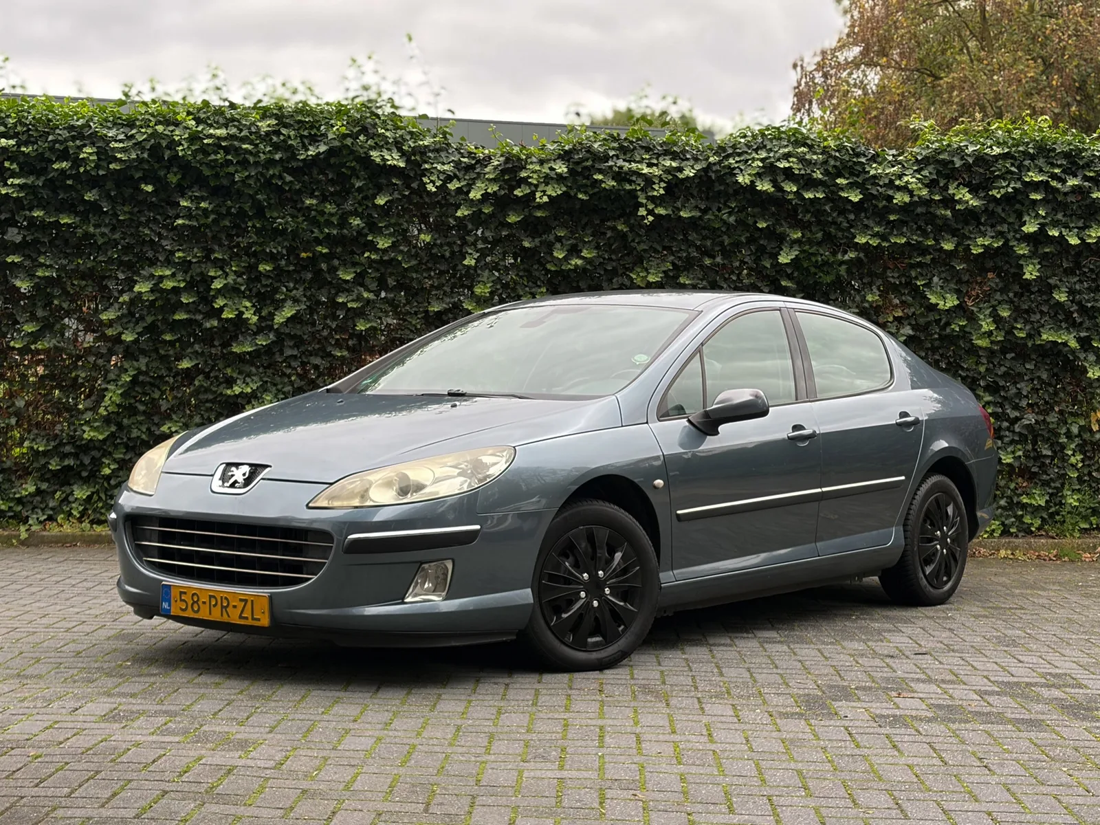 Peugeot 407 (2004) — foto 1