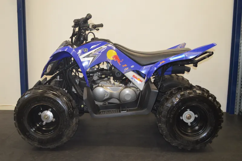 Yamaha YFM 90 (2010)