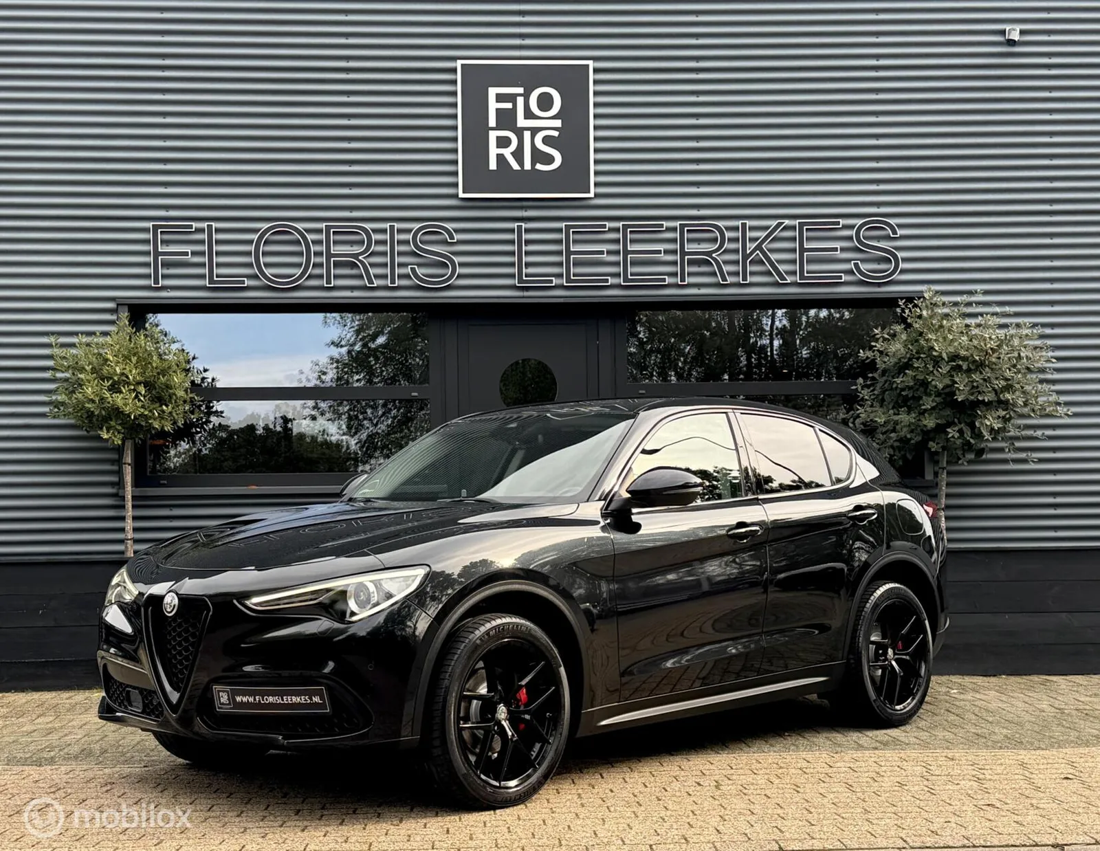 Alfa Romeo Stelvio (2017) — foto 1