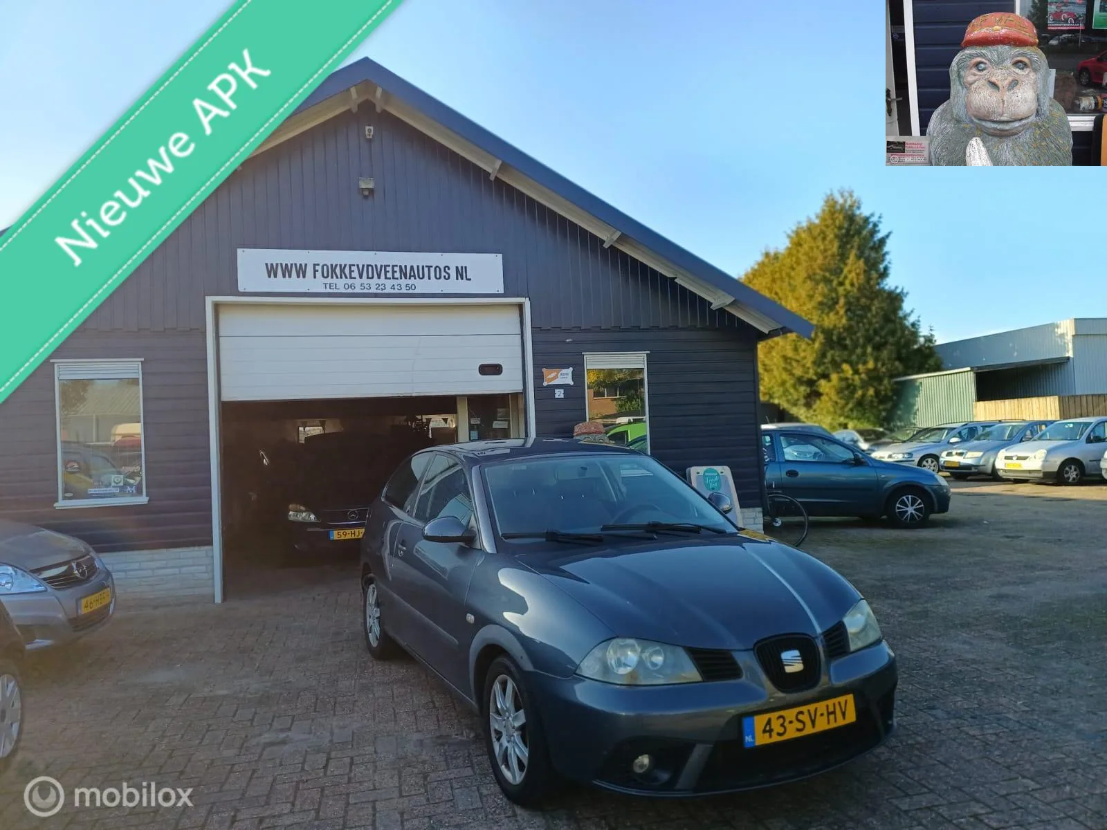 SEAT Ibiza (2006) — foto 1