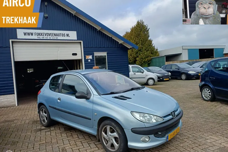 Peugeot 206 (2002)