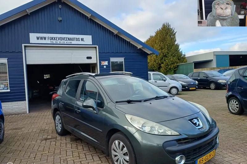 Peugeot 207 (2008)