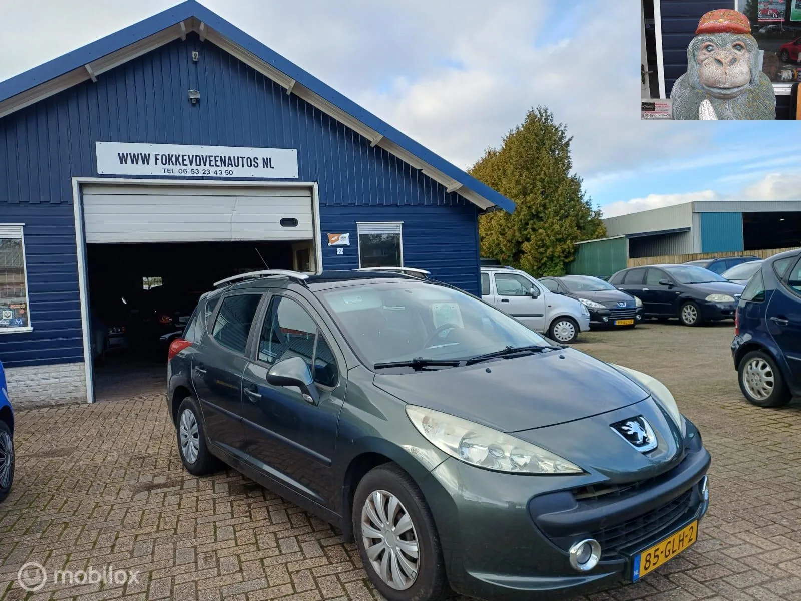 Peugeot 207 (2008) — foto 1