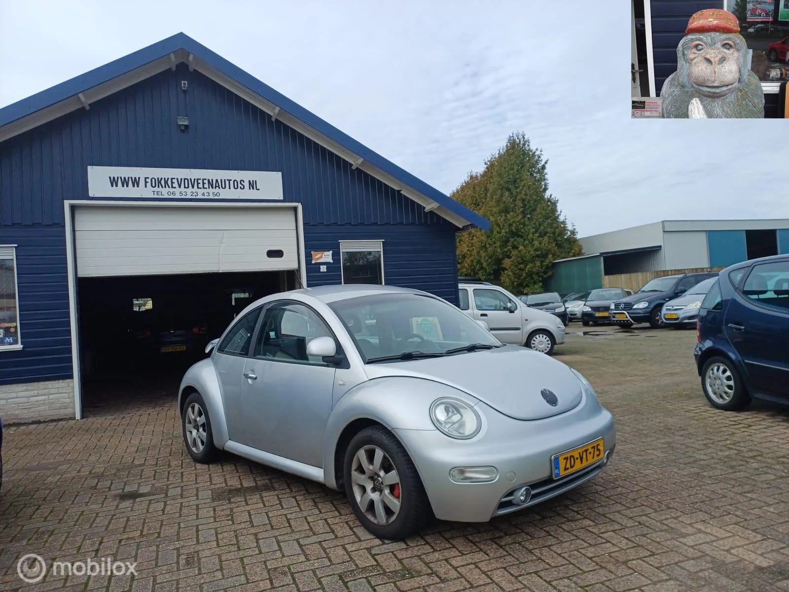 Volkswagen New Beetle (1999) — foto 1