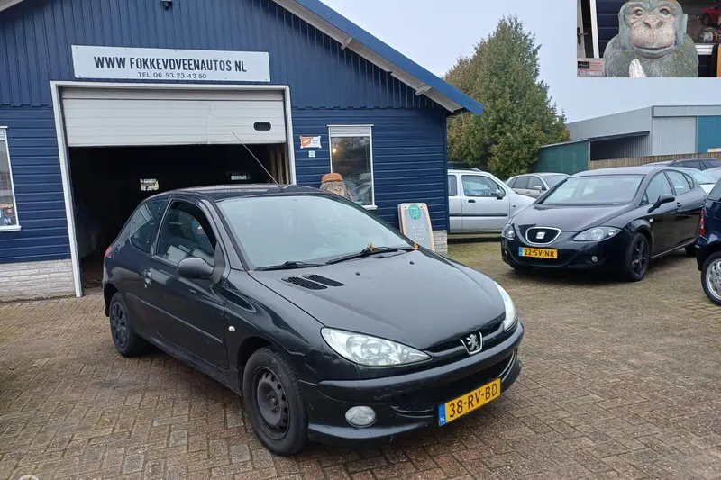 Peugeot 206 (2005)