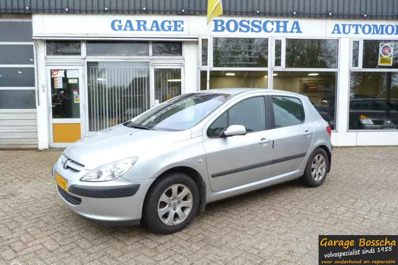 Peugeot 307 (2003)