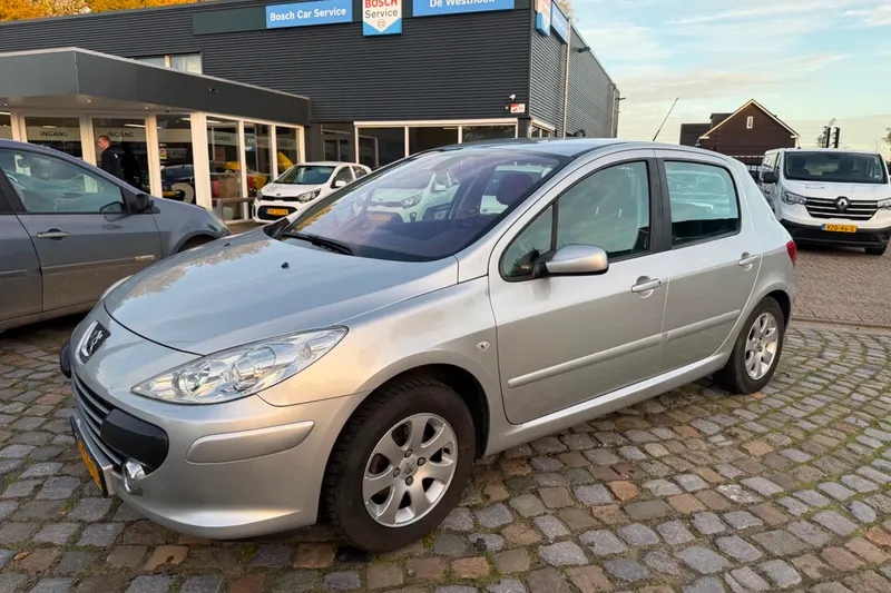 Peugeot 307 (2007)