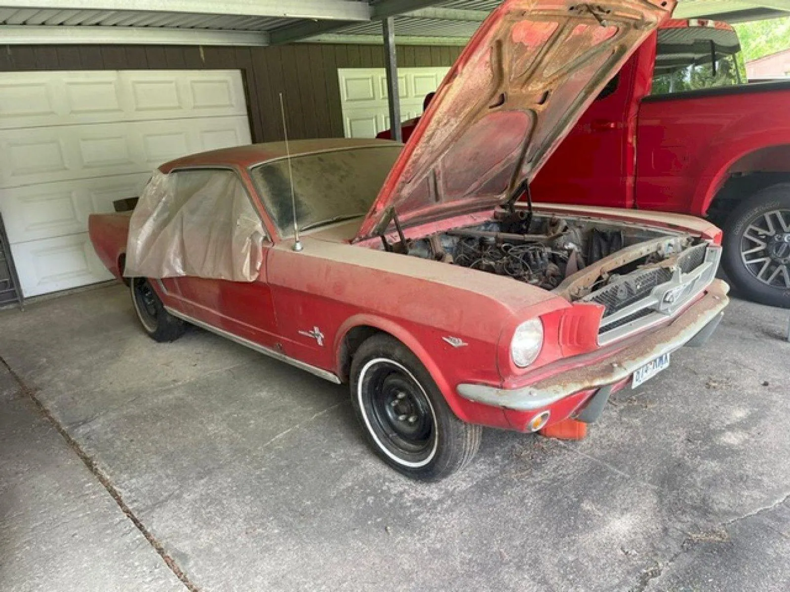 Ford Mustang (1965) — foto 1