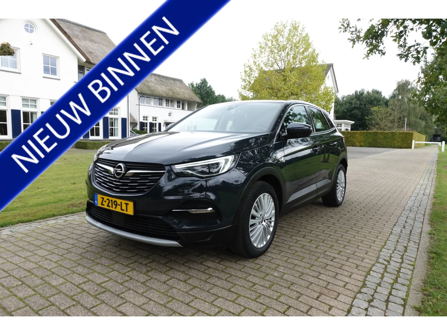Opel Grandland (2020) — foto 1