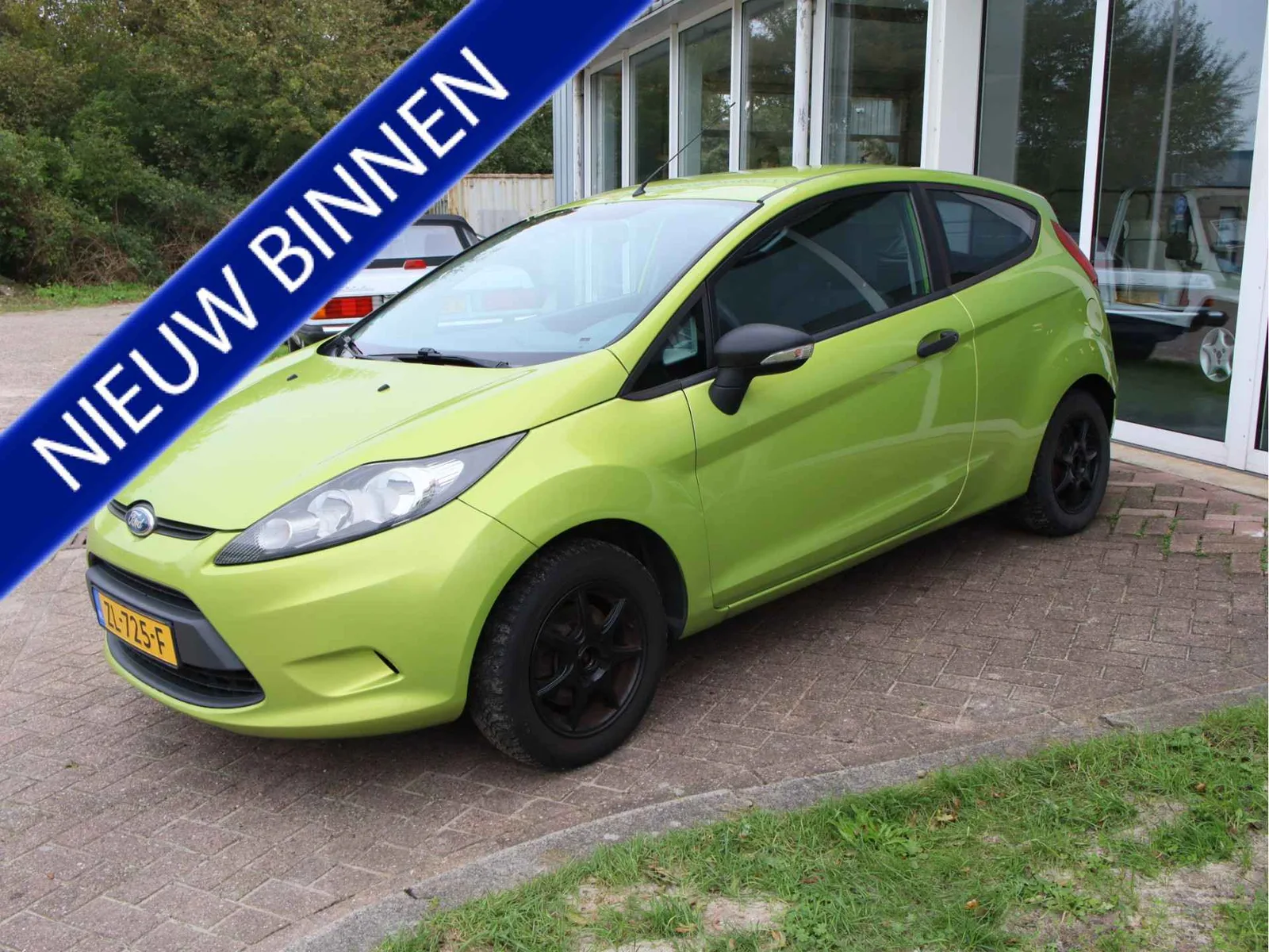 Ford Fiesta (2010) — foto 1