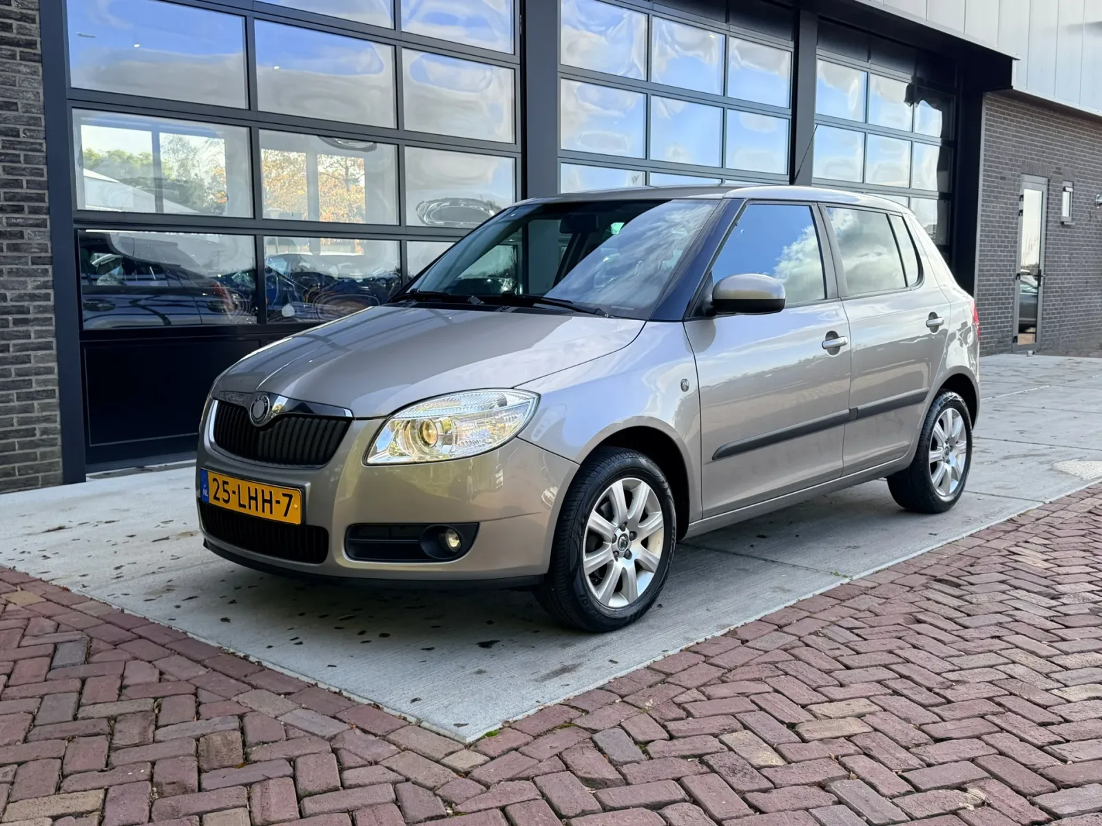 Škoda Fabia (2010) — foto 1