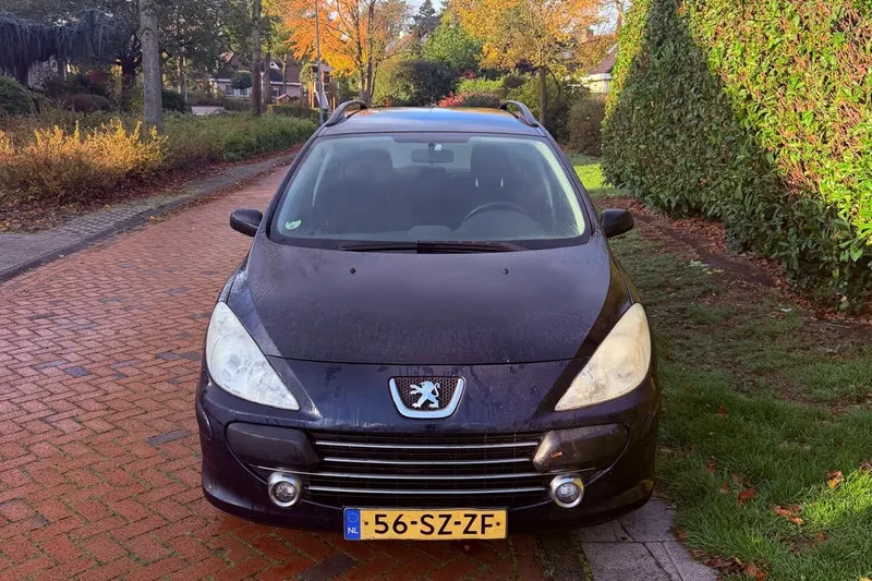Peugeot 307 (2006)