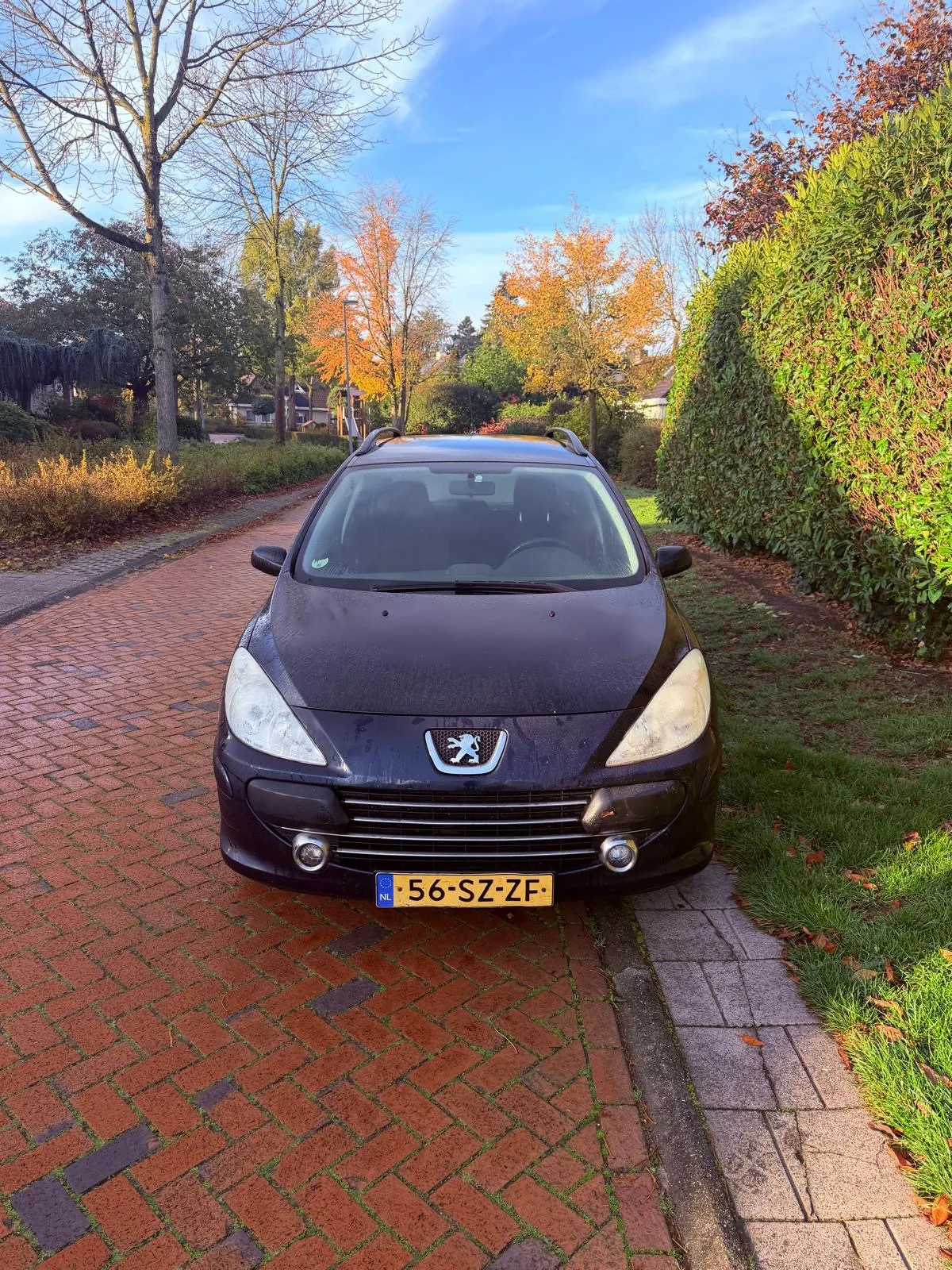 Peugeot 307 (2006) — foto 1