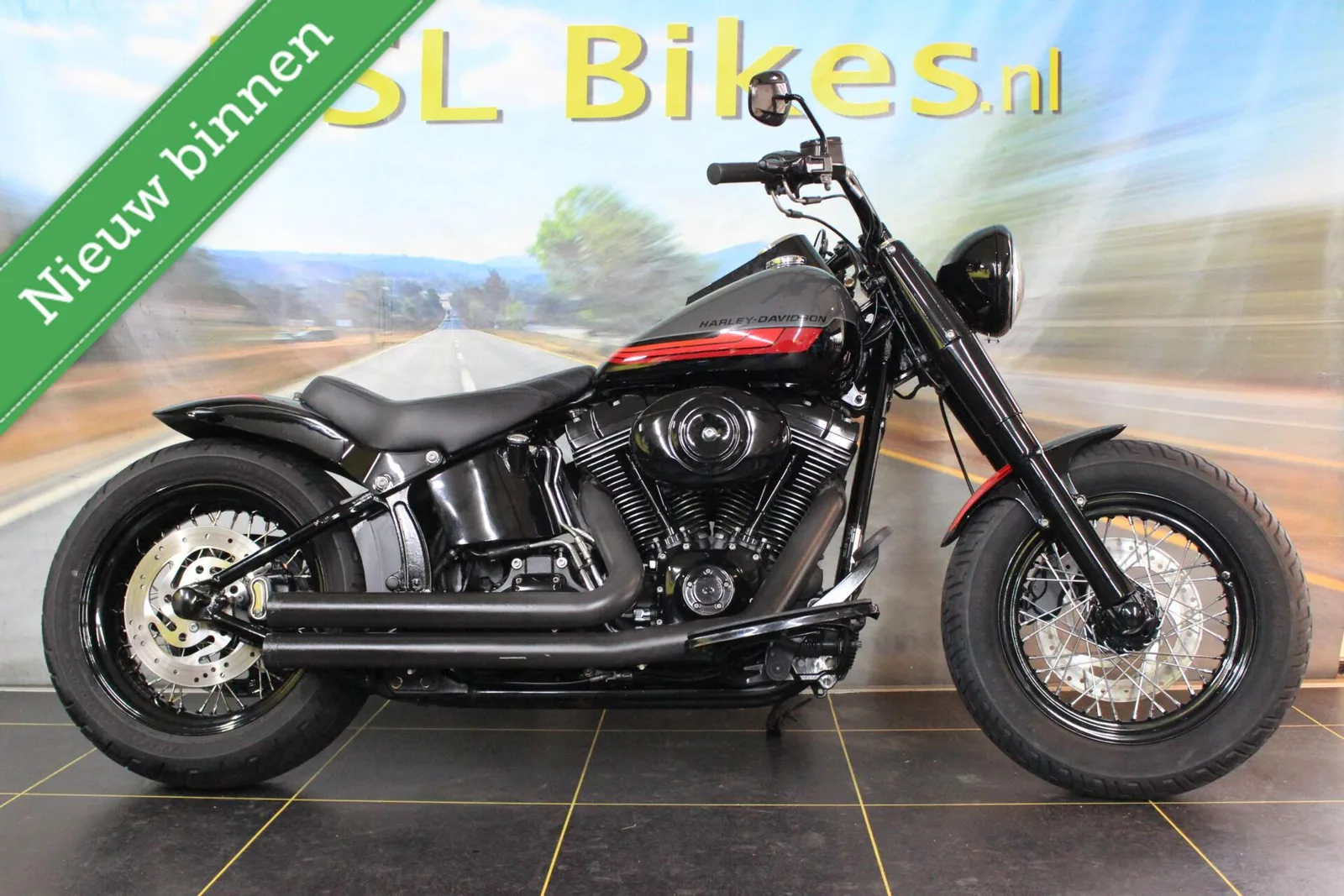 Harley-Davidson 96 FLSTCI Heritage (2008) — foto 1