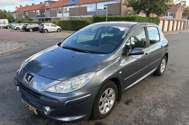 Peugeot 307 (2006)
