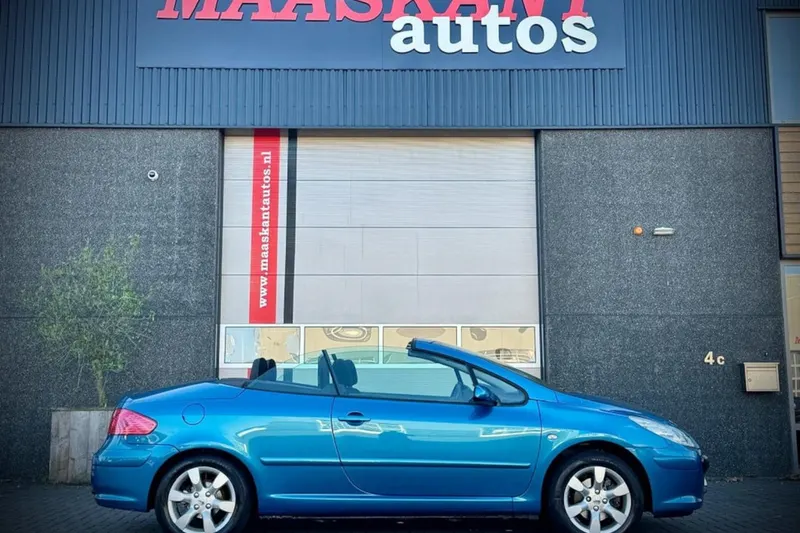 Peugeot 307 (2006)