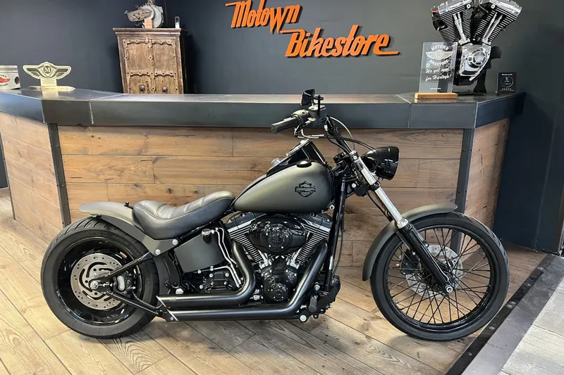 Harley-Davidson Softail Custom (2007)