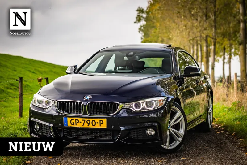 BMW 4-Serie Gran Coupé (2015)