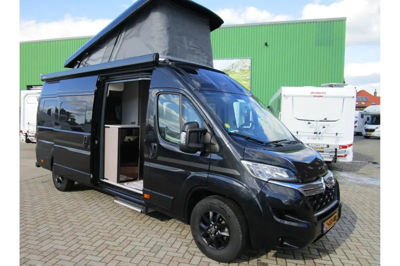Etrusco CV (2026)