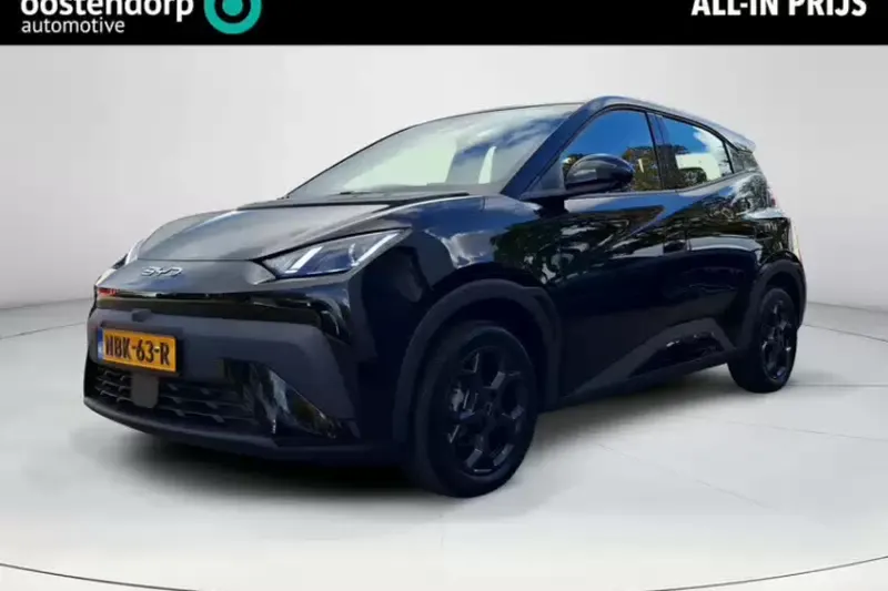 BYD Dolphin Surf (2026)
