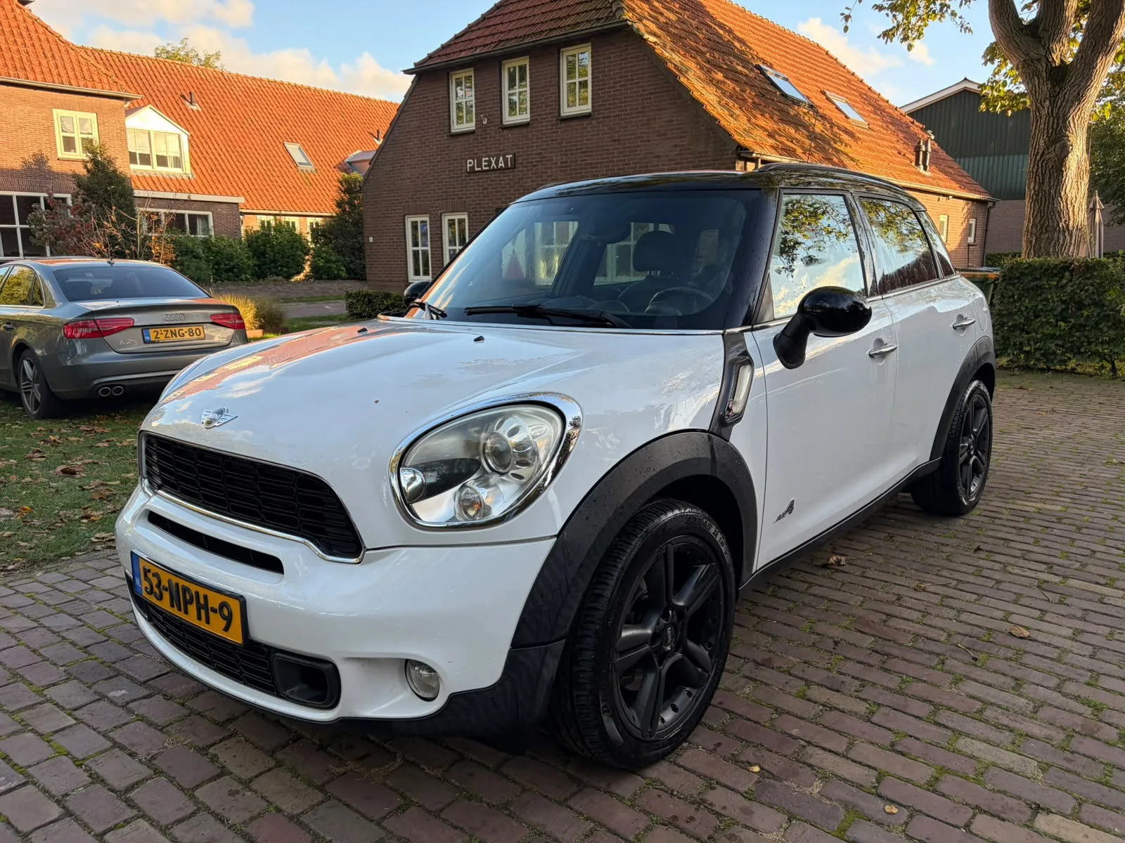 MINI Countryman (2010) — foto 1
