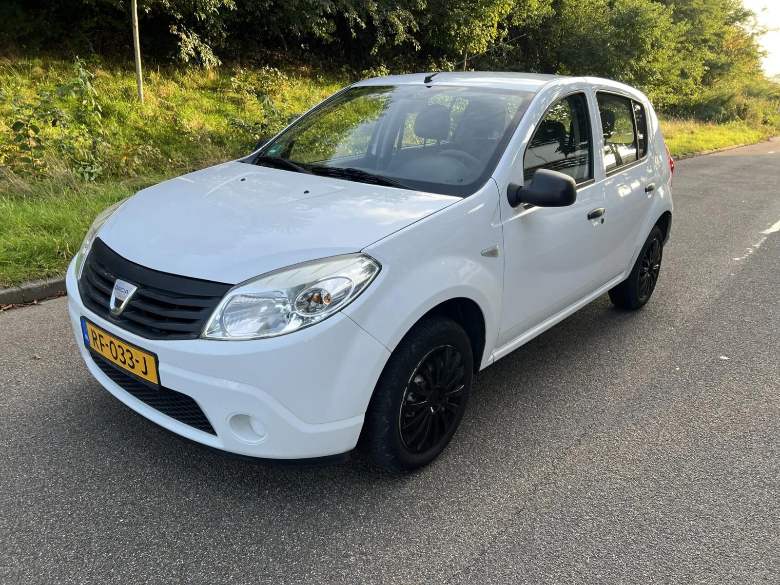 Dacia Sandero (2009) — foto 1