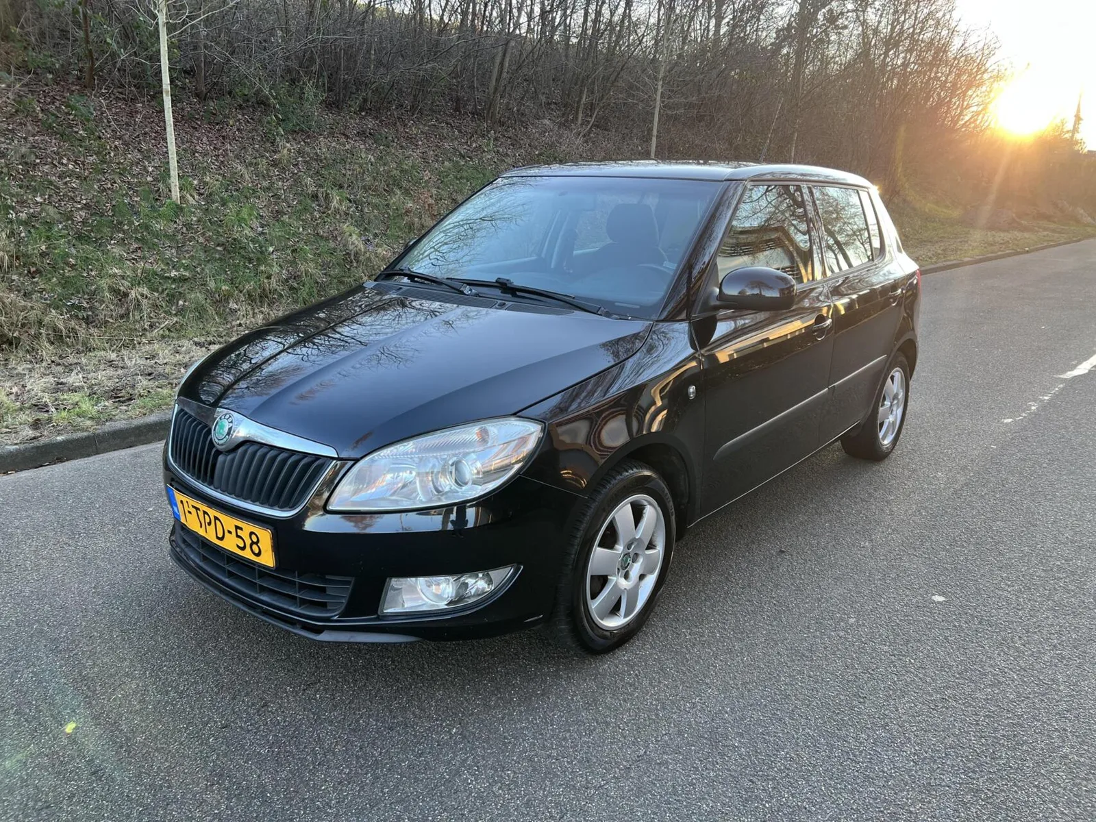 Škoda Fabia (2010) — foto 1