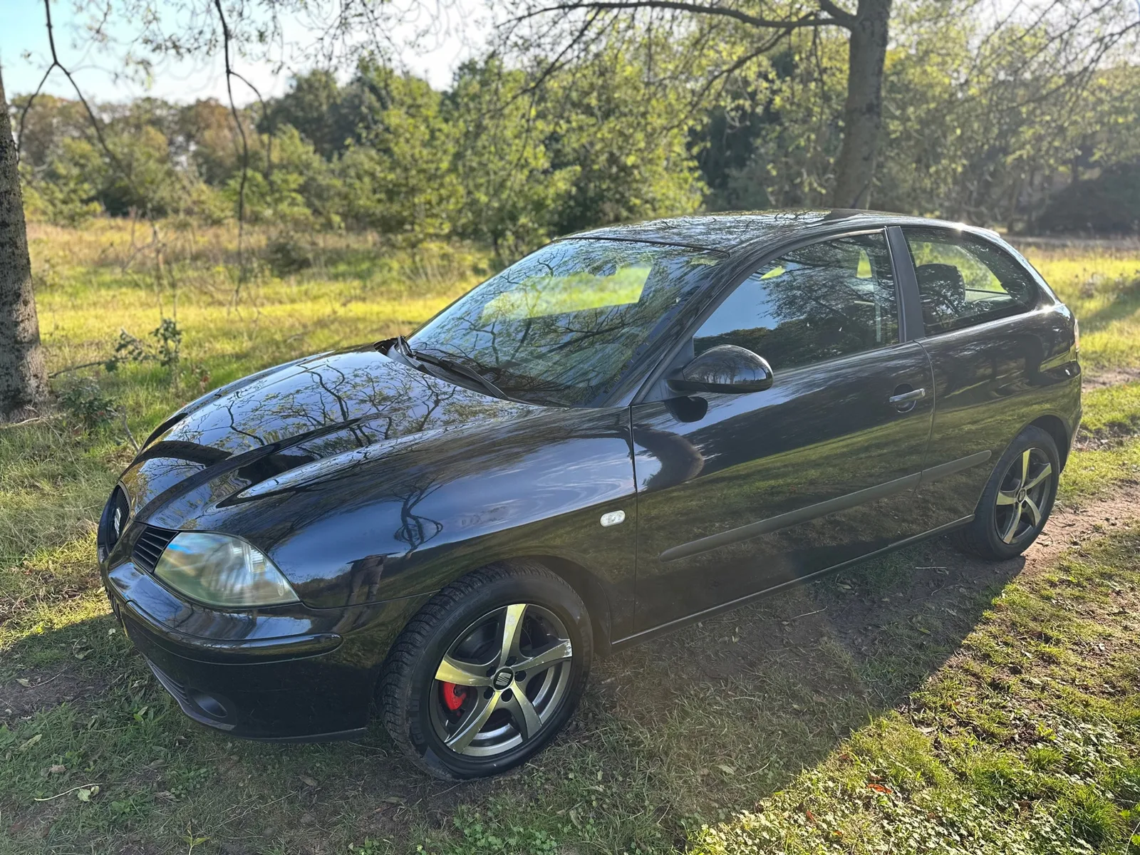 SEAT Ibiza (2002) — foto 1