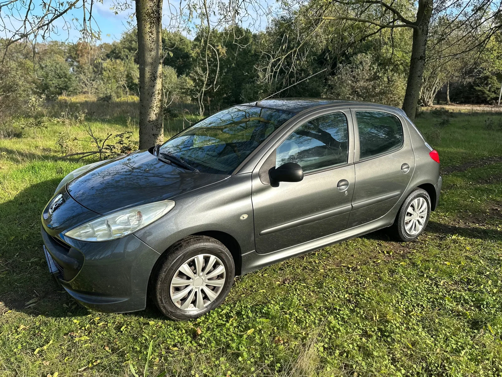 Peugeot 206+ (2011) — foto 1