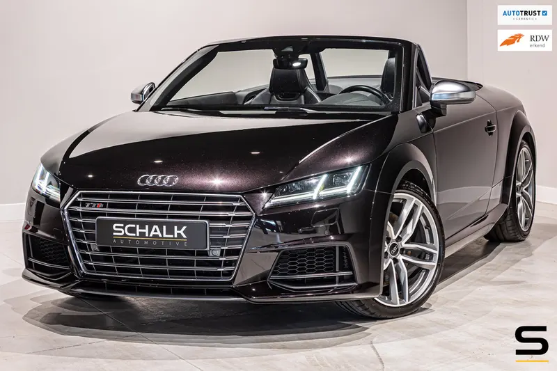 Audi TTS (2015)