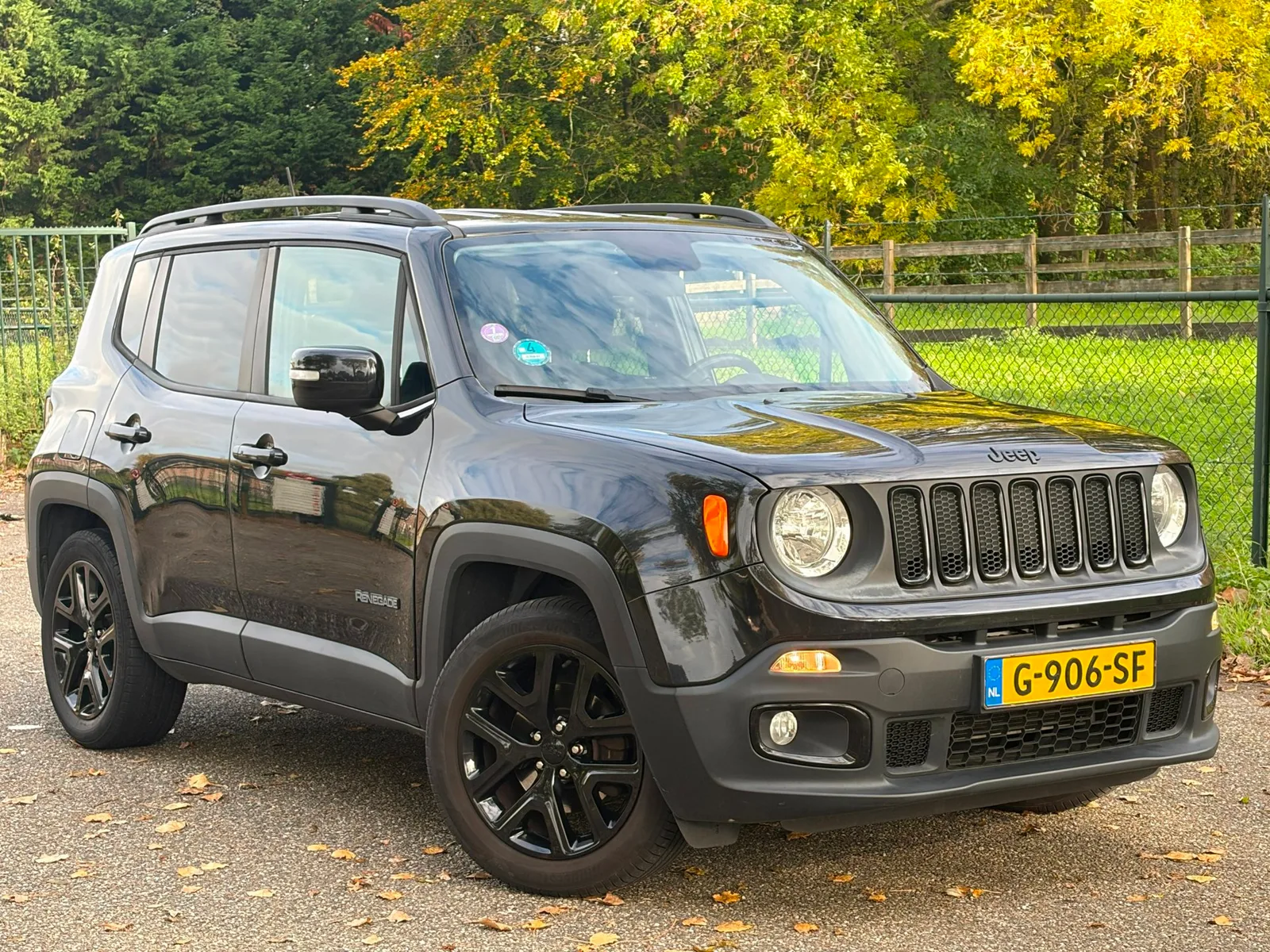 Jeep Renegade (2016) — foto 1