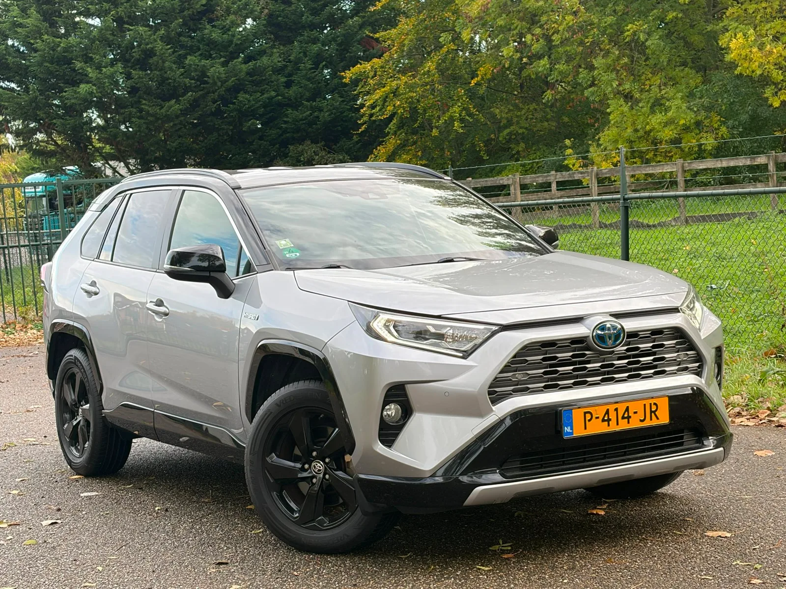 Toyota RAV4 (2019) — foto 1