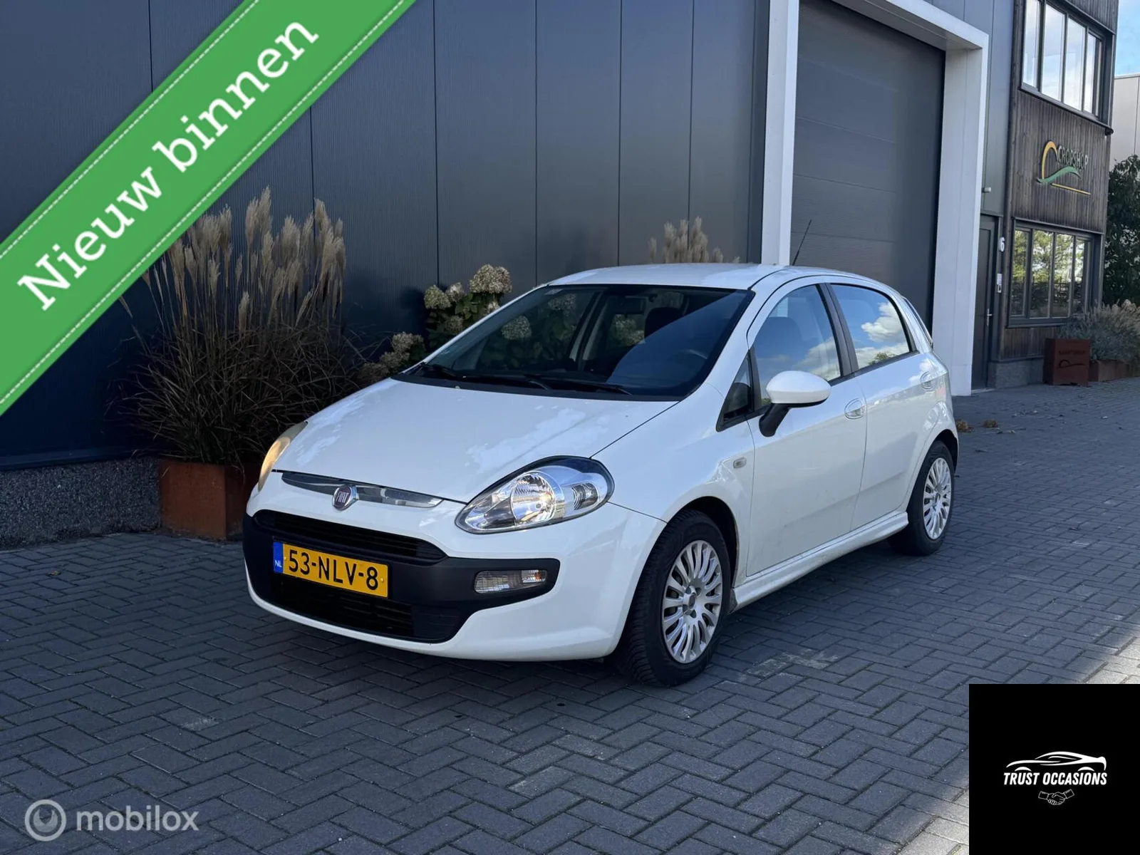 Fiat Punto Evo (2010) — foto 1