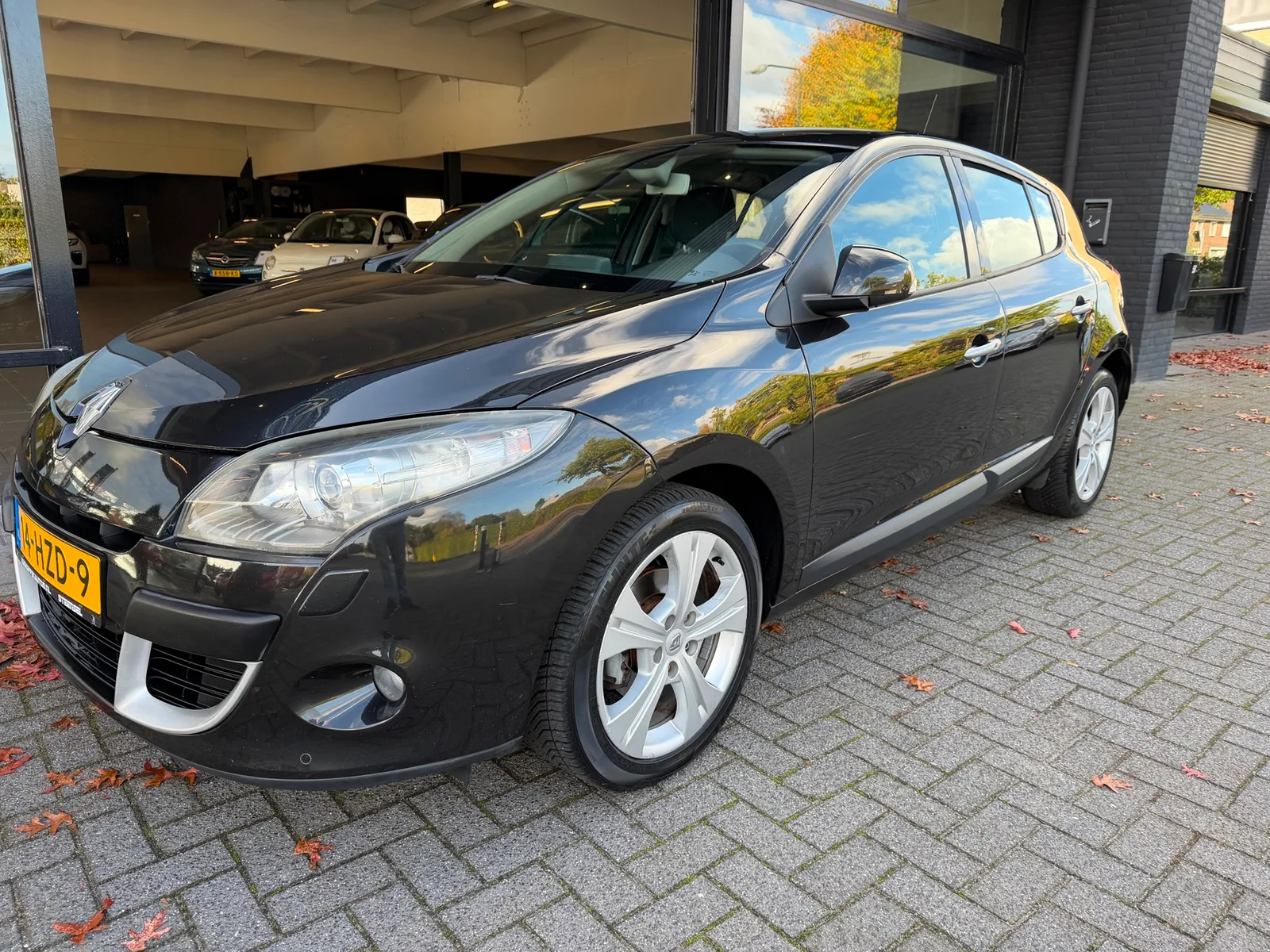 Renault Mégane (2009) — foto 1