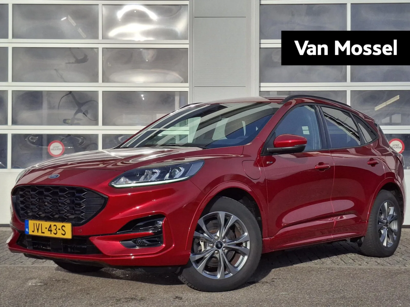 Ford Kuga (2021) — foto 1