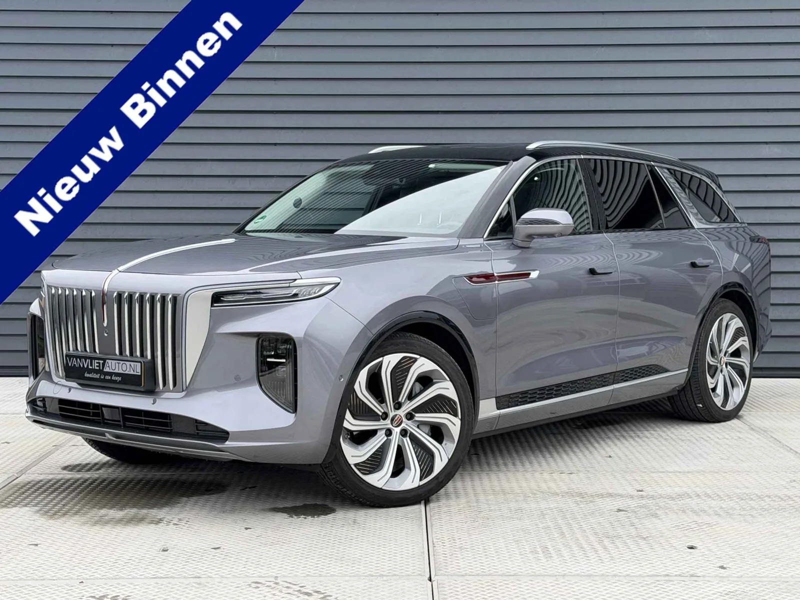 Hongqi E-HS9 (2024) — foto 1