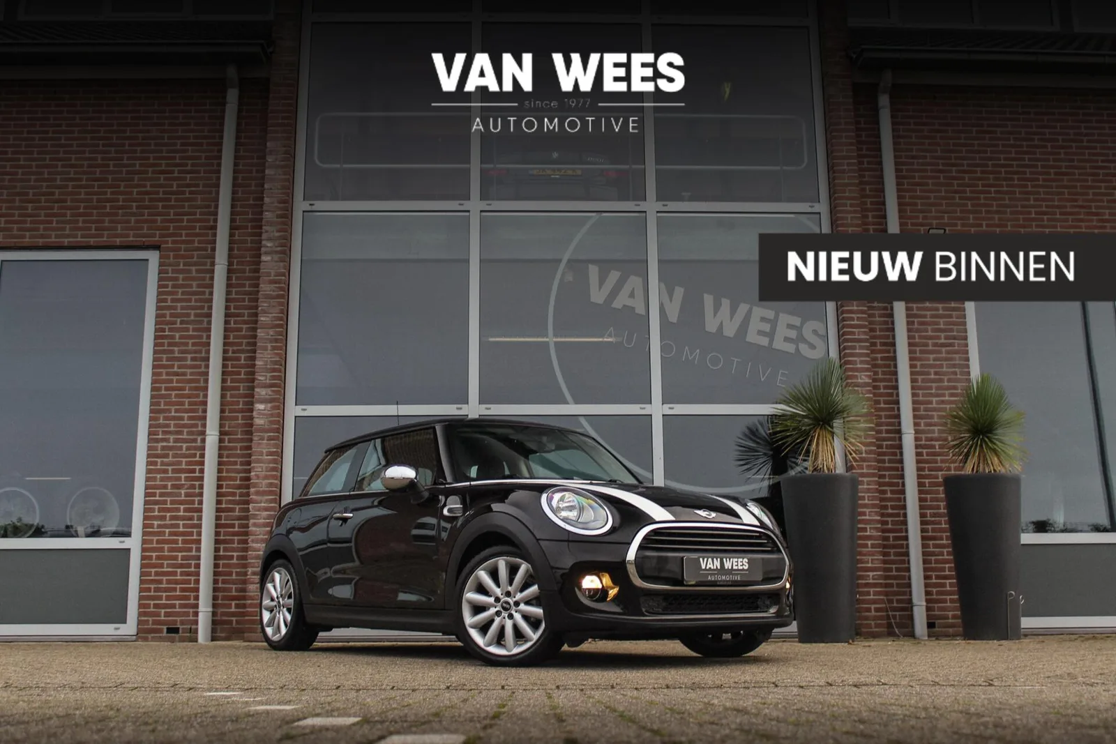 MINI One (2014) — foto 1