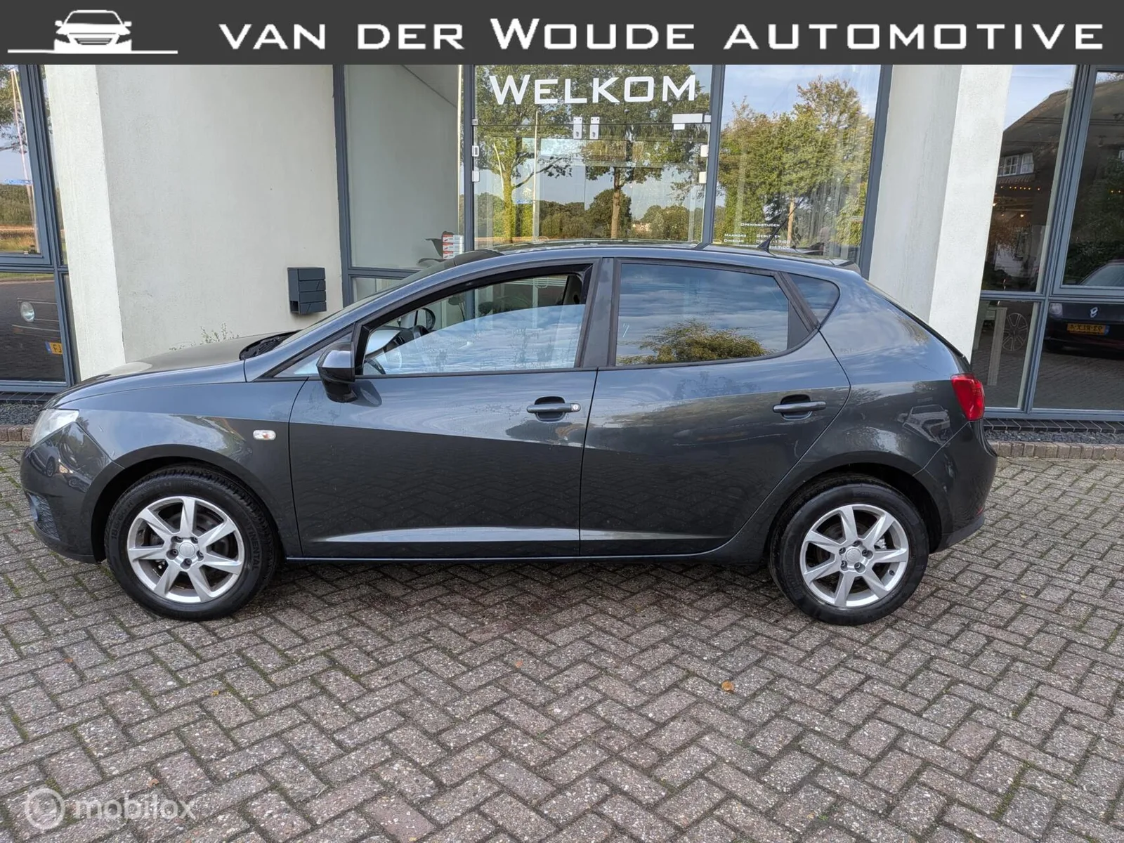 SEAT Ibiza (2009) — foto 1