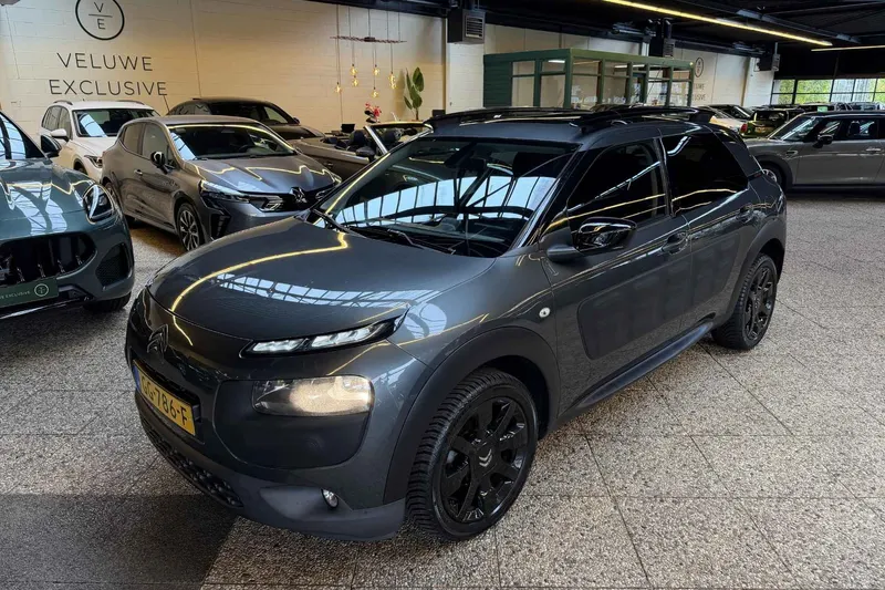 Citroën C4 Cactus (2015)