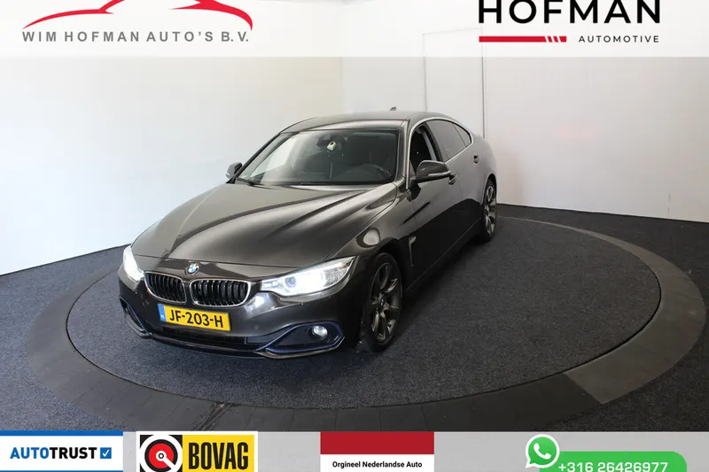 BMW 4-Serie Gran Coupé (2016)