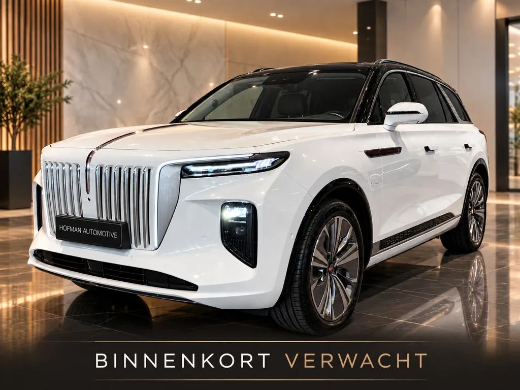 Hongqi E-HS9 (2023) — foto 1