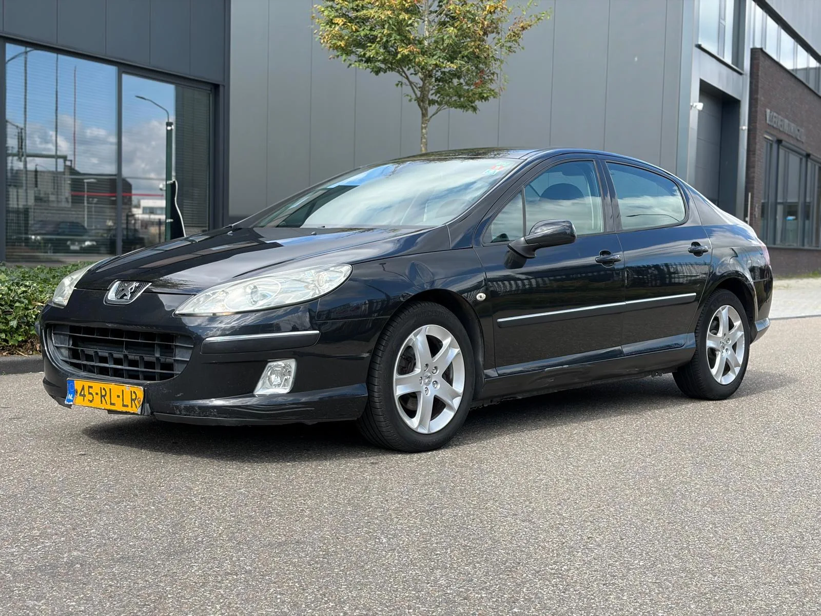Peugeot 407 (2005) — foto 1
