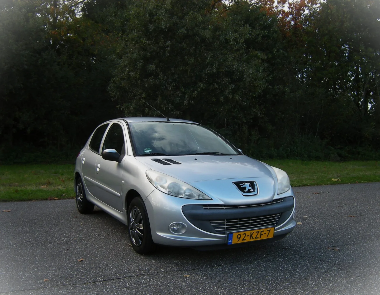 Peugeot 206+ (2010) — foto 1